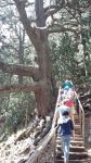 14_im_Pirin_Gebirge 14_im_Pirin_Gebirge