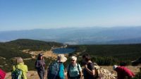 28_im_Pirin_Gebirge 28_im_Pirin_Gebirge